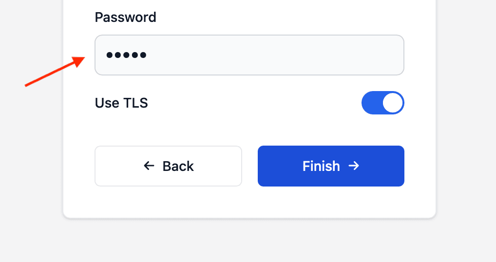 Password input parameter